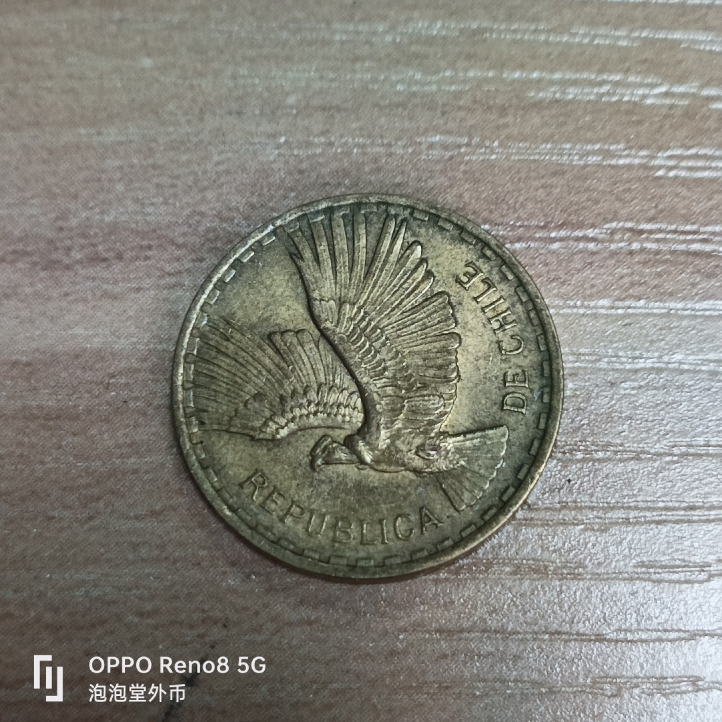 泡泡堂微拍第三十三幕精品硬币捡漏专场👿👿，零佣金，零押金，累计满二十元包邮 智利飞鹰