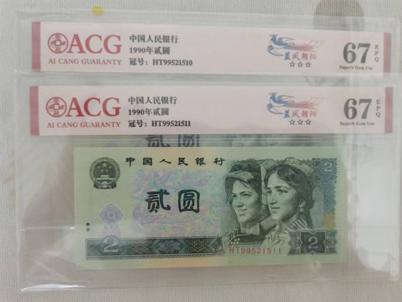 902蓝凤朝阳