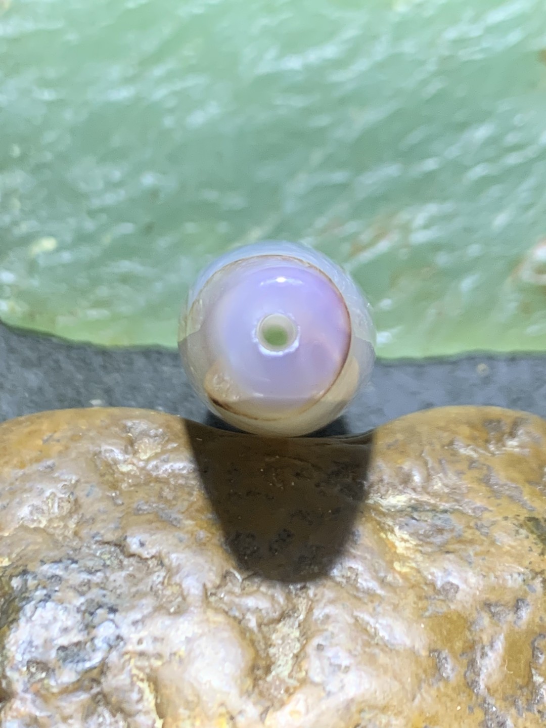 精美高玉化巴西玛瑙朱砂点天珠形桶珠一个，