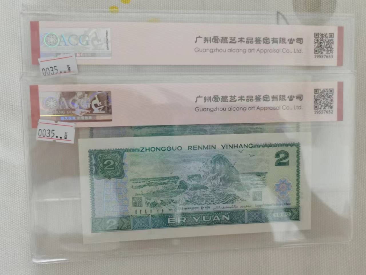 902蓝凤朝阳