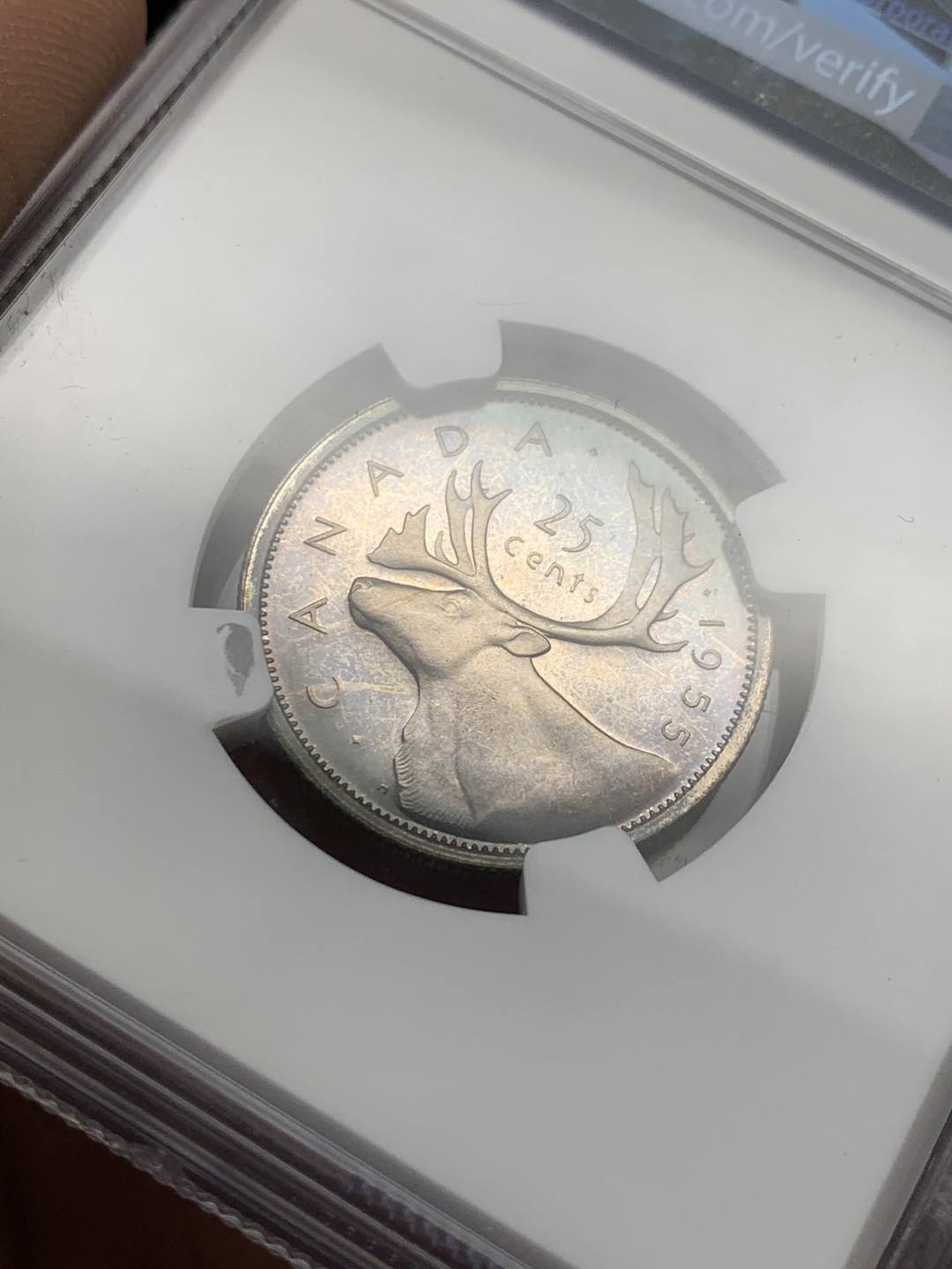 《竞宝斋》第118场-周日，周一 ，2场连拍（全场包邮） NGC-PL62 1955伊丽莎白早期加拿大五彩类精制银币25分，鹿头十分漂亮