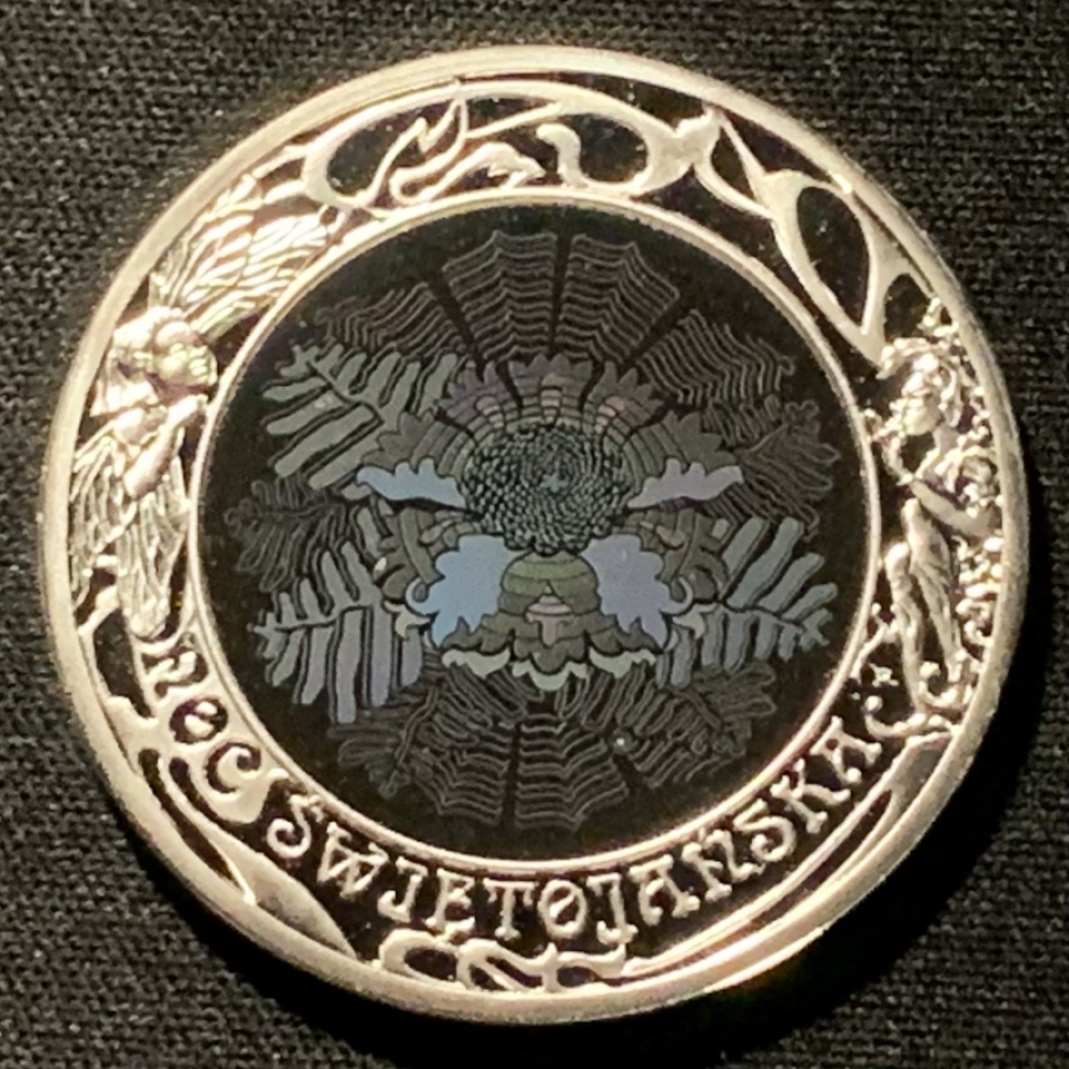 紫瑗钱币——第264期拍卖 波兰 2006年 多色全息蕨类 20兹罗提 28.84克 0.925银 精制