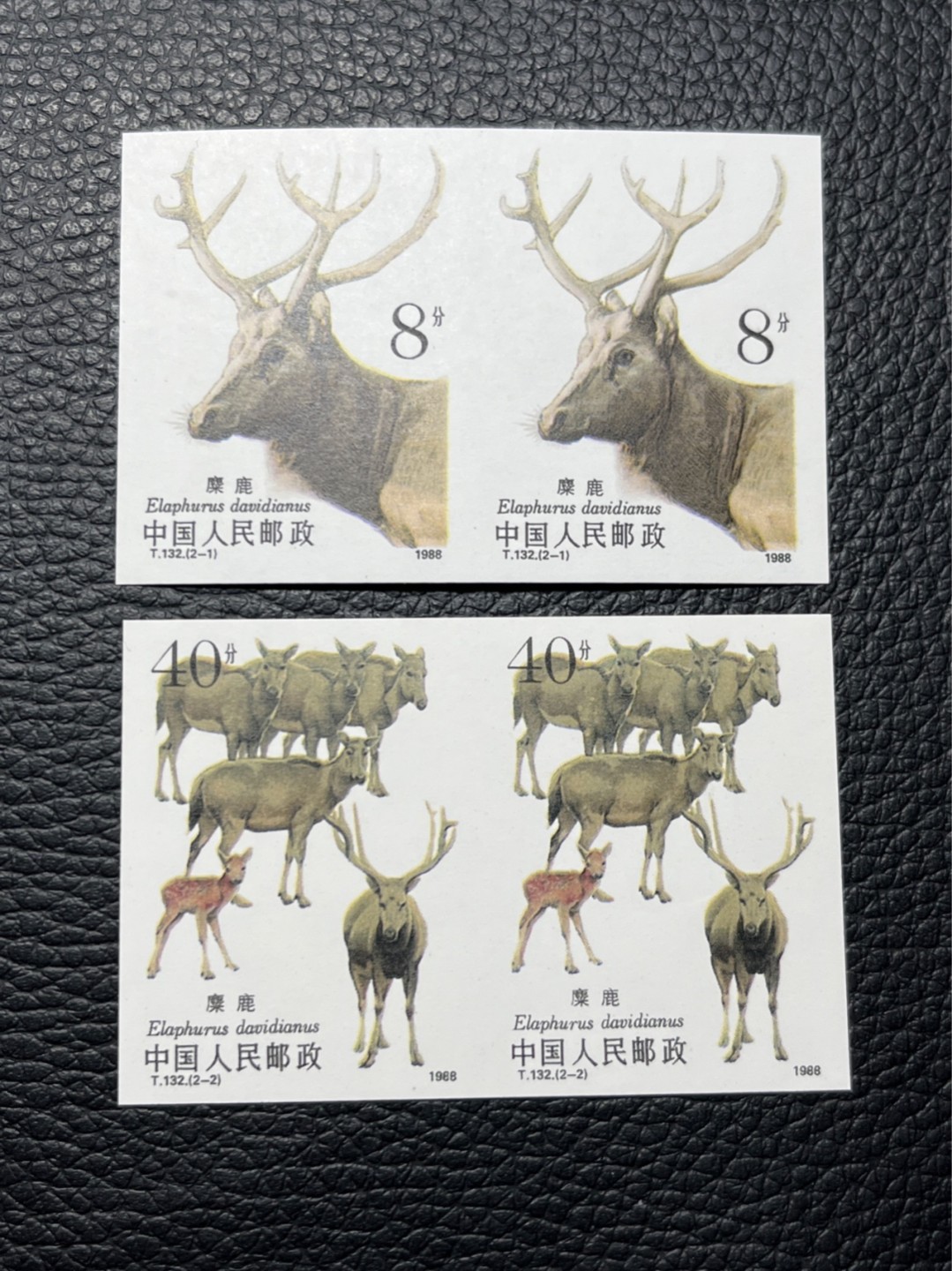 洪涛臻品批发群  精选邮票限时拍卖第九十一期 T132无齿麋鹿新全   2连一组 ，软折如图，上品，紫光灯下有瑕疵。精品版货  精工细裁 ，全程带硅胶手套操作，喜欢的老板不要错过
