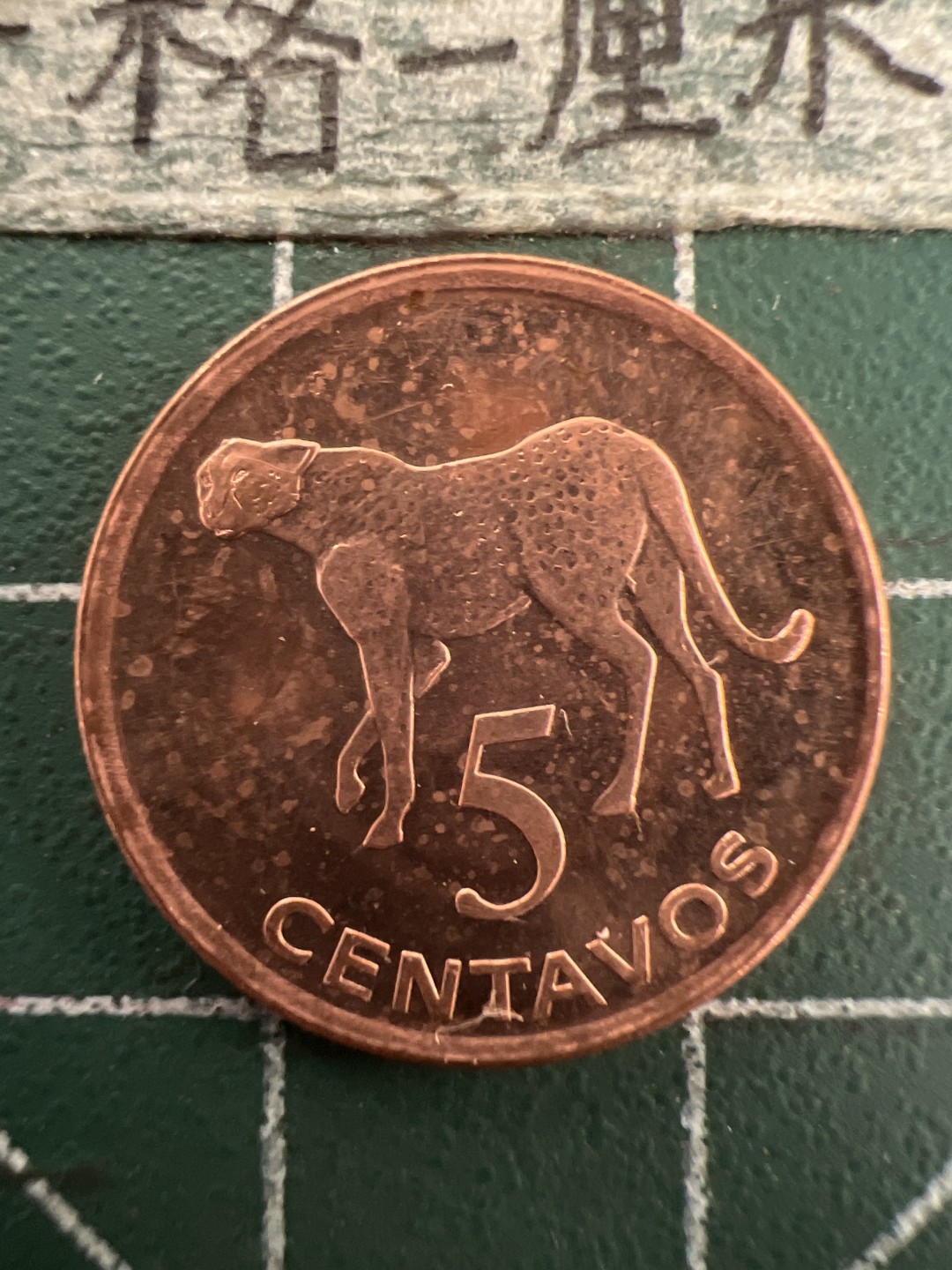 泡泡堂第155期  世界硬币专场（无押金，无佣金，捡漏，全场20包邮，偏远地区除外） 莫桑比克5分