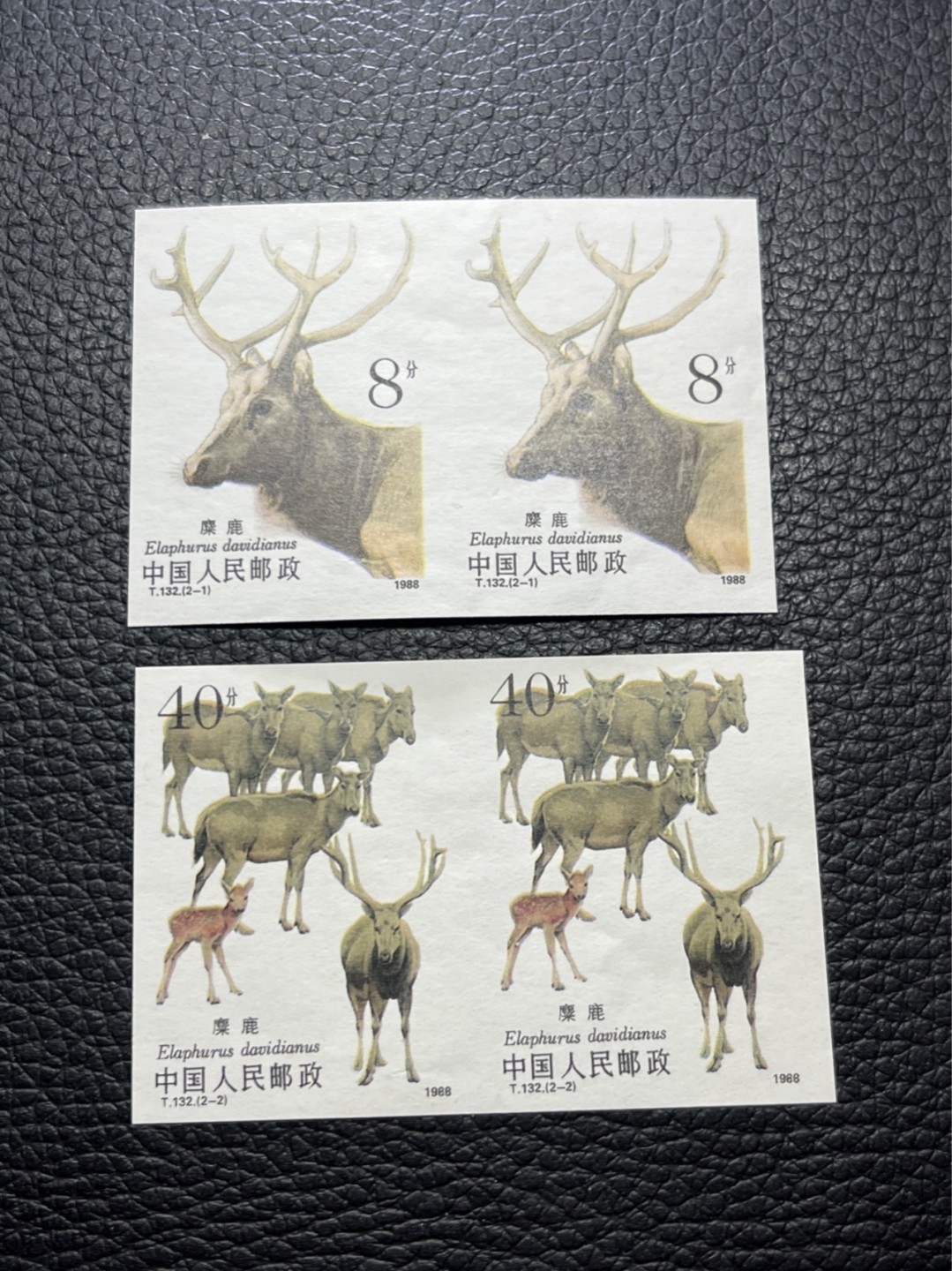 洪涛臻品批发群  精选邮票限时拍卖第九十二期 T132无齿麋鹿新全    2连一组 ，软折如图，上品，紫光灯下有瑕疵。精品版货  精工细裁 ，全程带硅胶手套操作，喜欢的老板不要错过