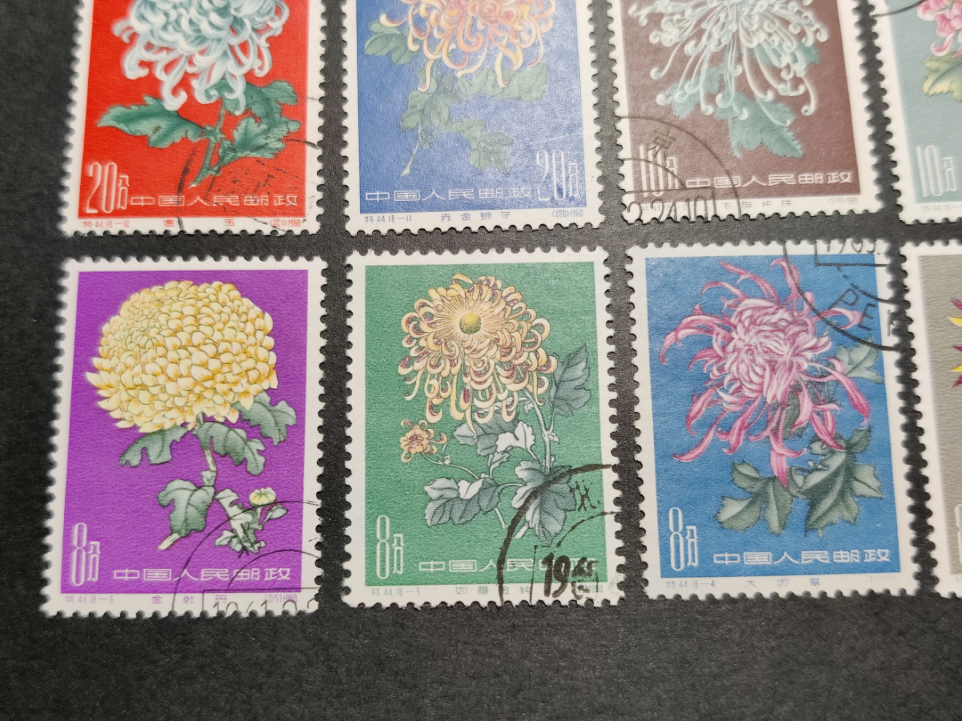 洪涛臻品批发群  精选邮票限时拍卖第一百五十二期 特44菊花 盖销全套无胶 面艳角尖背白票挺 很难得的品相(尾图揭薄等全套成交价825元 淘宝成交价1000元)