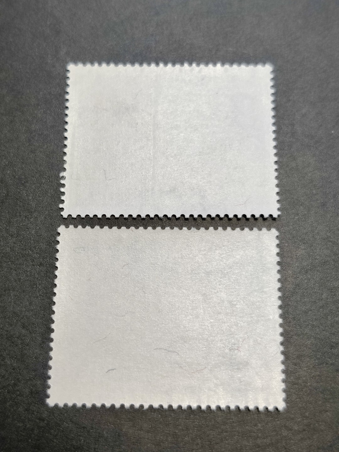 洪涛臻品批发群  精选邮票限时拍卖第九十二期 亚洋邮盟 2全 原胶无贴新票