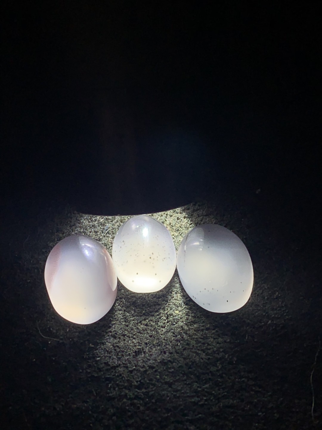 南红玛瑙荔枝冻通货戒面3个，