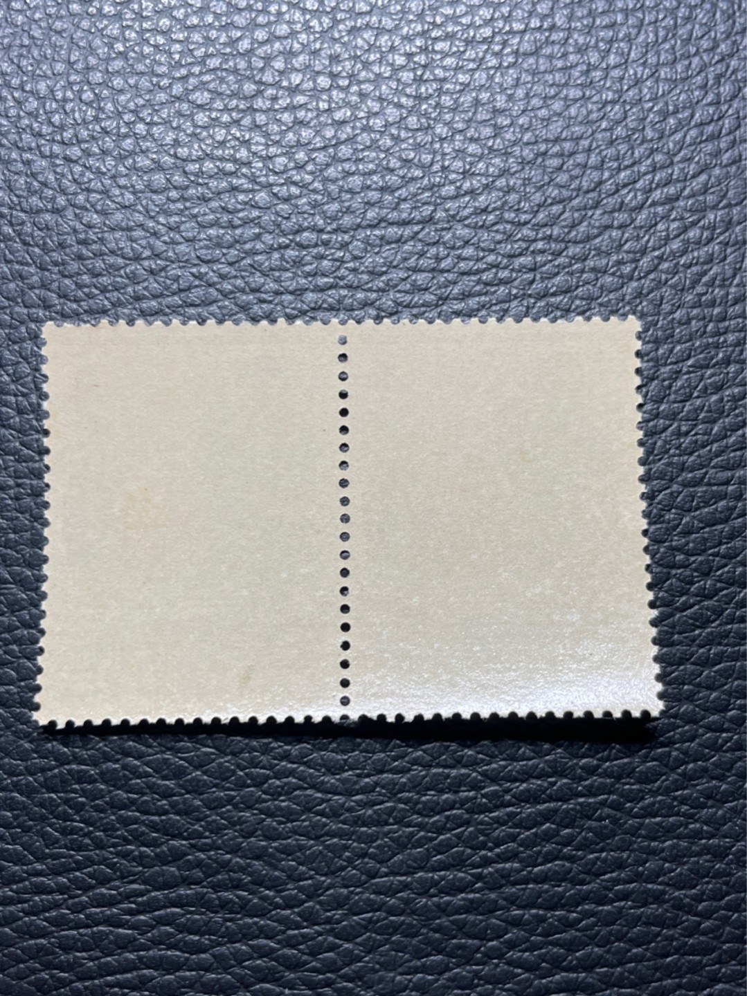 洪涛臻品批发群  精选邮票限时拍卖第九十三期 纪92古科  8-4盖销  2连 几乎全品。解放初的经典票，整版撕开，面艳胶白，票挺洁净，齿孔完美，收藏评级两相宜。老纪特的版票资源十分稀缺难寻，机会来临时必须抓住。