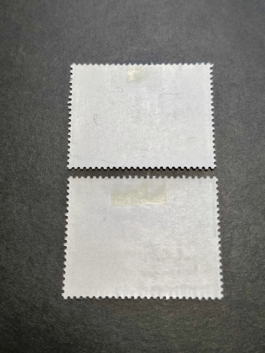 洪涛臻品批发群  精选邮票限时拍卖第九十二期 亚洋邮盟 2全 原胶有贴新票
