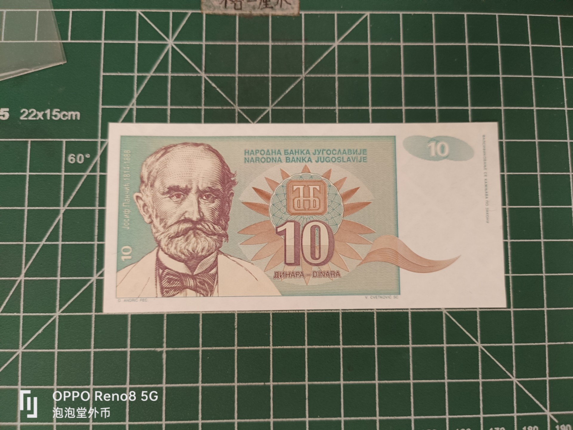 泡泡堂微拍第三十五幕纸币捡漏专场👿👿，零佣金，零押金，累计满二十元包邮 南斯拉夫十D