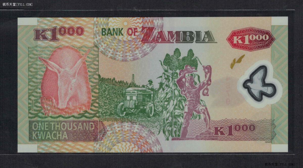 赞比亚2009年1000克瓦查 塑料钞 首冠 EL03 实物图 UNC
