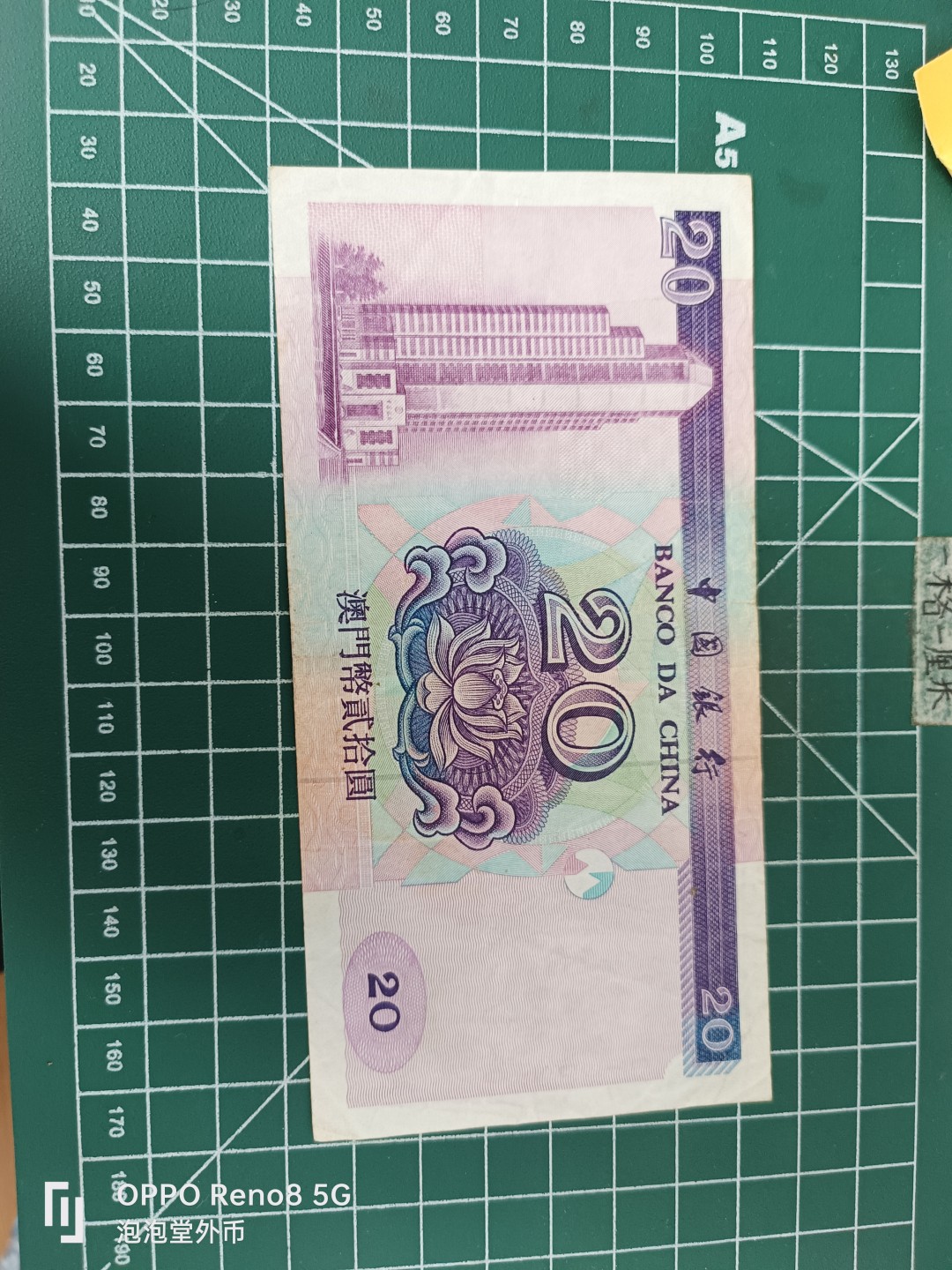 泡泡堂微拍第三十五幕纸币捡漏专场👿👿，零佣金，零押金，累计满二十元包邮 澳门20元