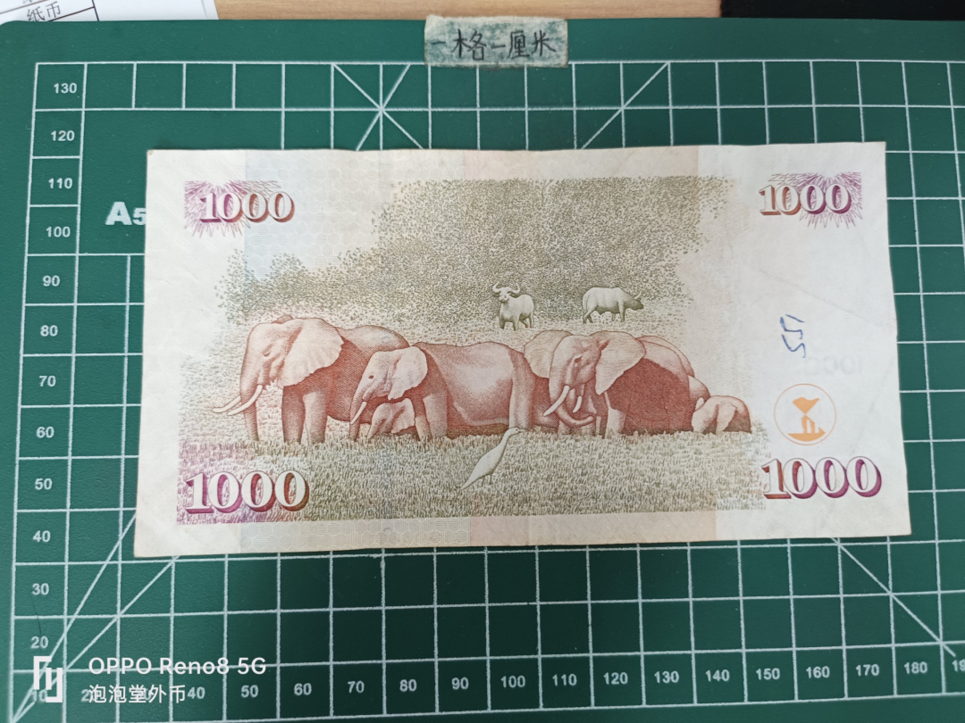 泡泡堂微拍第三十五幕纸币捡漏专场👿👿，零佣金，零押金，累计满二十元包邮 肯尼亚1000元