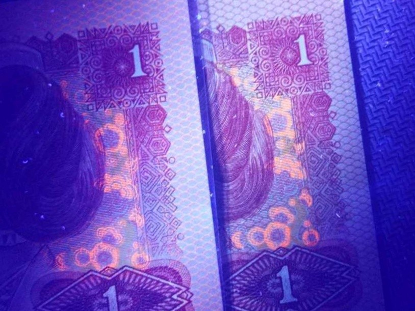 801满版龙鳞中国龙标十，金网中国龙