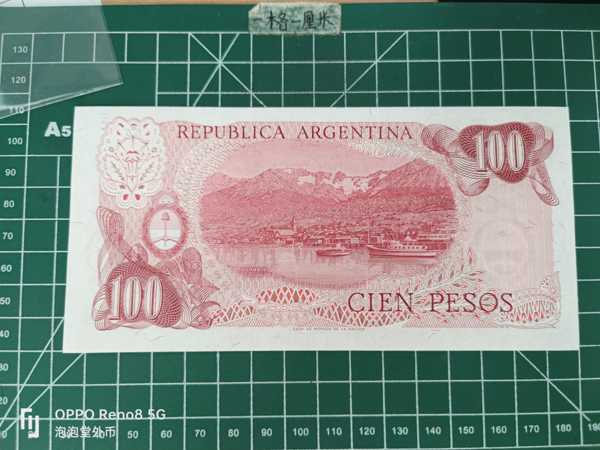 泡泡堂微拍第三十五幕纸币捡漏专场👿👿，零佣金，零押金，累计满二十元包邮 阿根廷100皮索