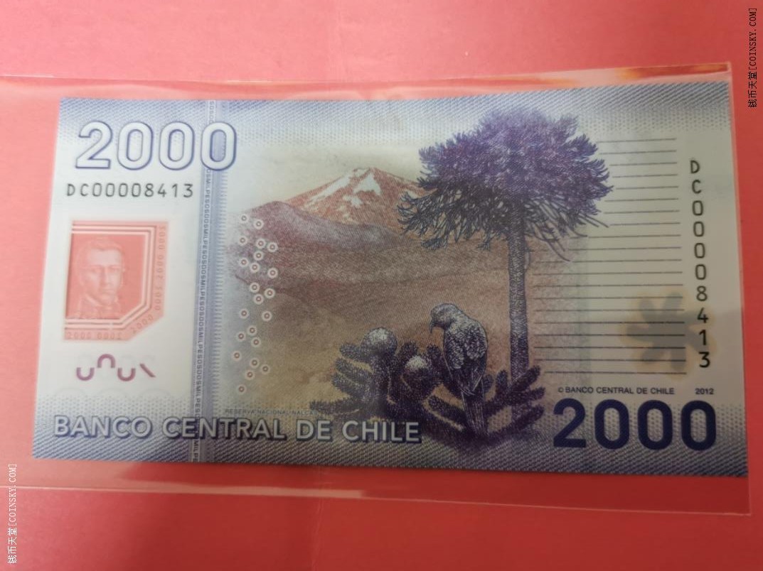 智利2012年2000比索 塑料钞 四位小号 美洲币 实物图 UNC 