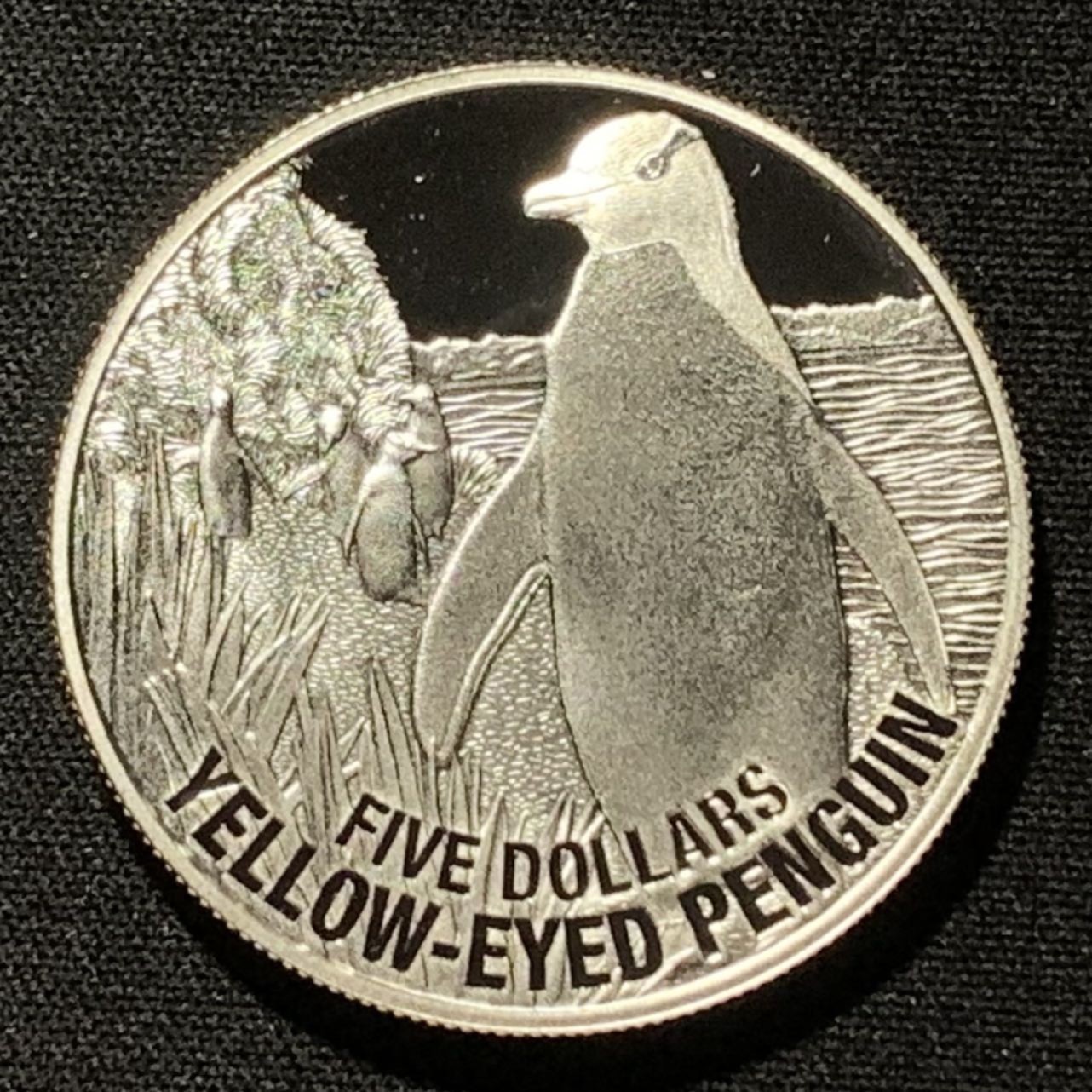 紫瑗钱币——第249期拍卖 新西兰 2011年 黄眼睛企鹅 5元 31.1克 0.999银 精制