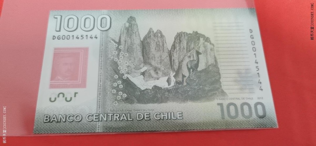 智利2012年1000比索 塑料钞 双尾44 美洲币 实物图 UNC 