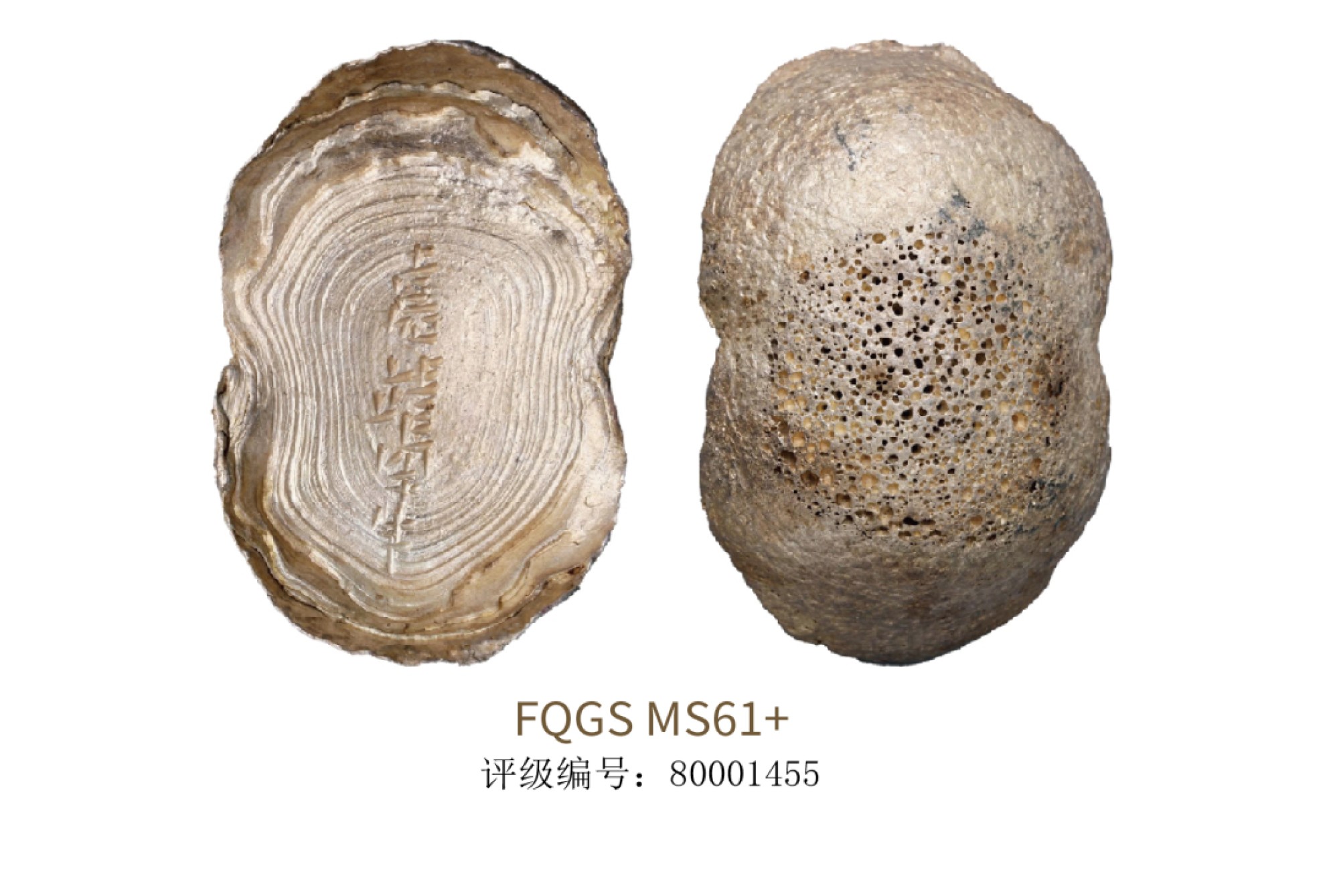 聚宝轩2022秋拍 明代嘉靖四十年银锭 FQGS MS61+