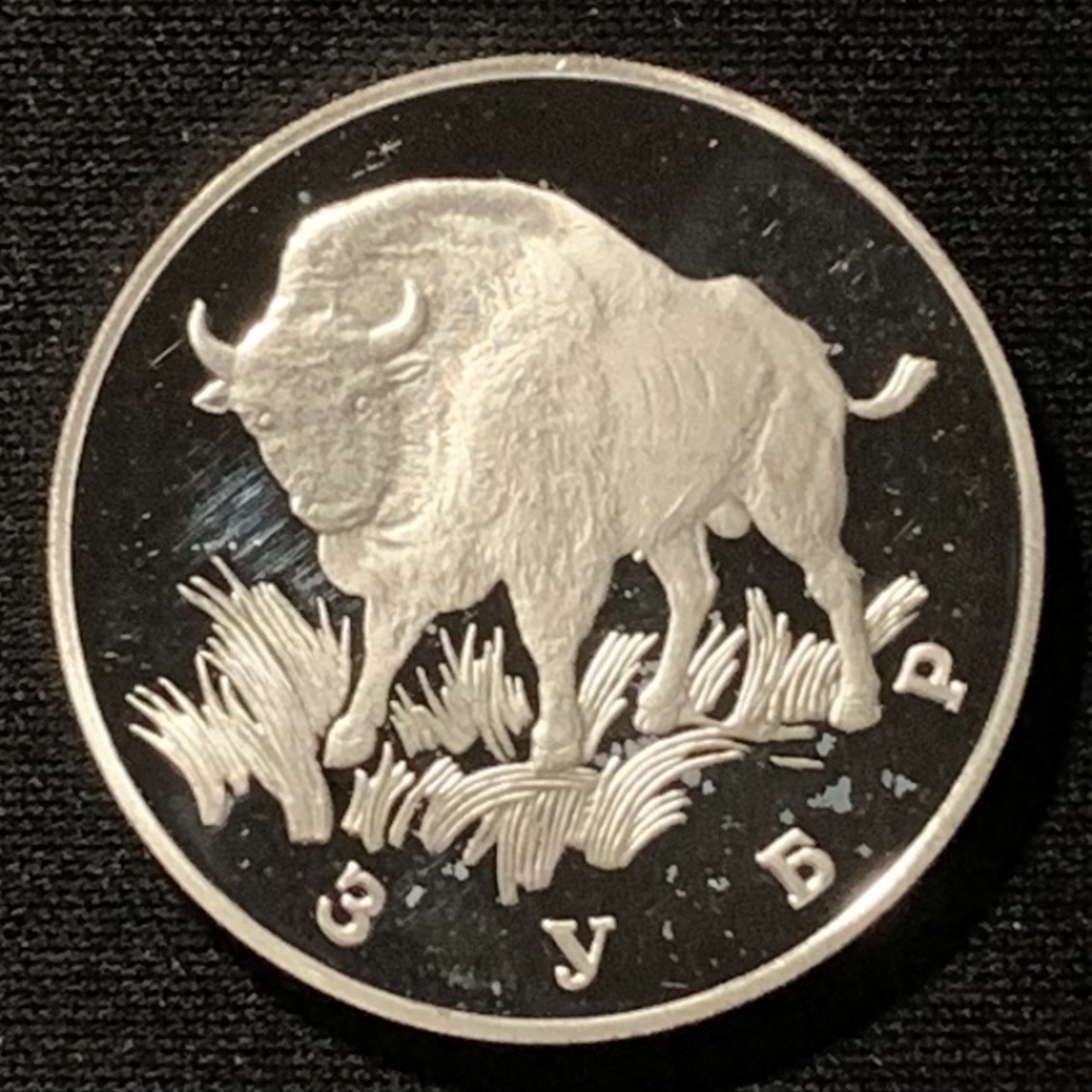 紫瑗钱币——第262期拍卖 俄罗斯 1997年 欧洲野牛 1卢布 17.44克 0.9银 精制