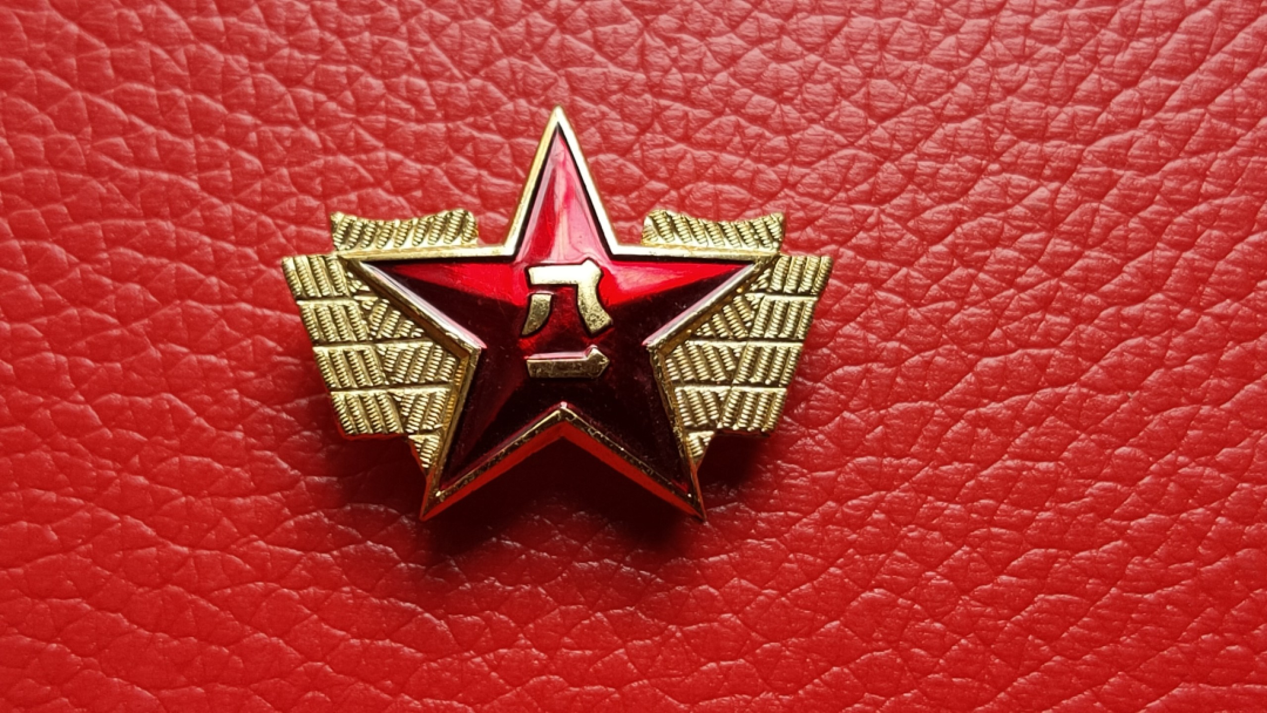 粮票 领章混拍 领章一对（2个装）