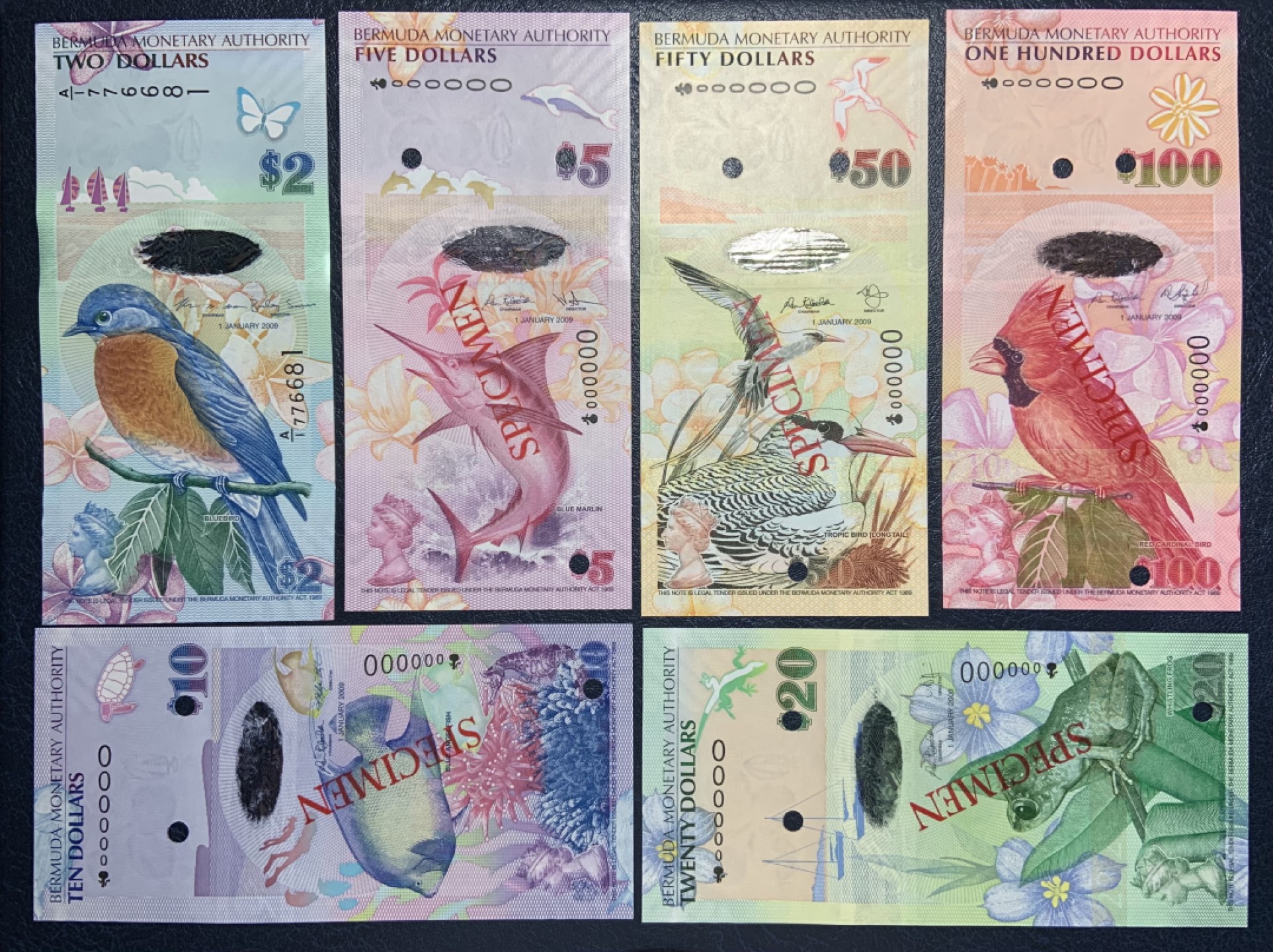 收藏联盟Quantum Auction 第212期拍卖  百慕大群岛2009年2-100元洋葱冠样票（2元为A/1冠实票配套用）品相全新UNC