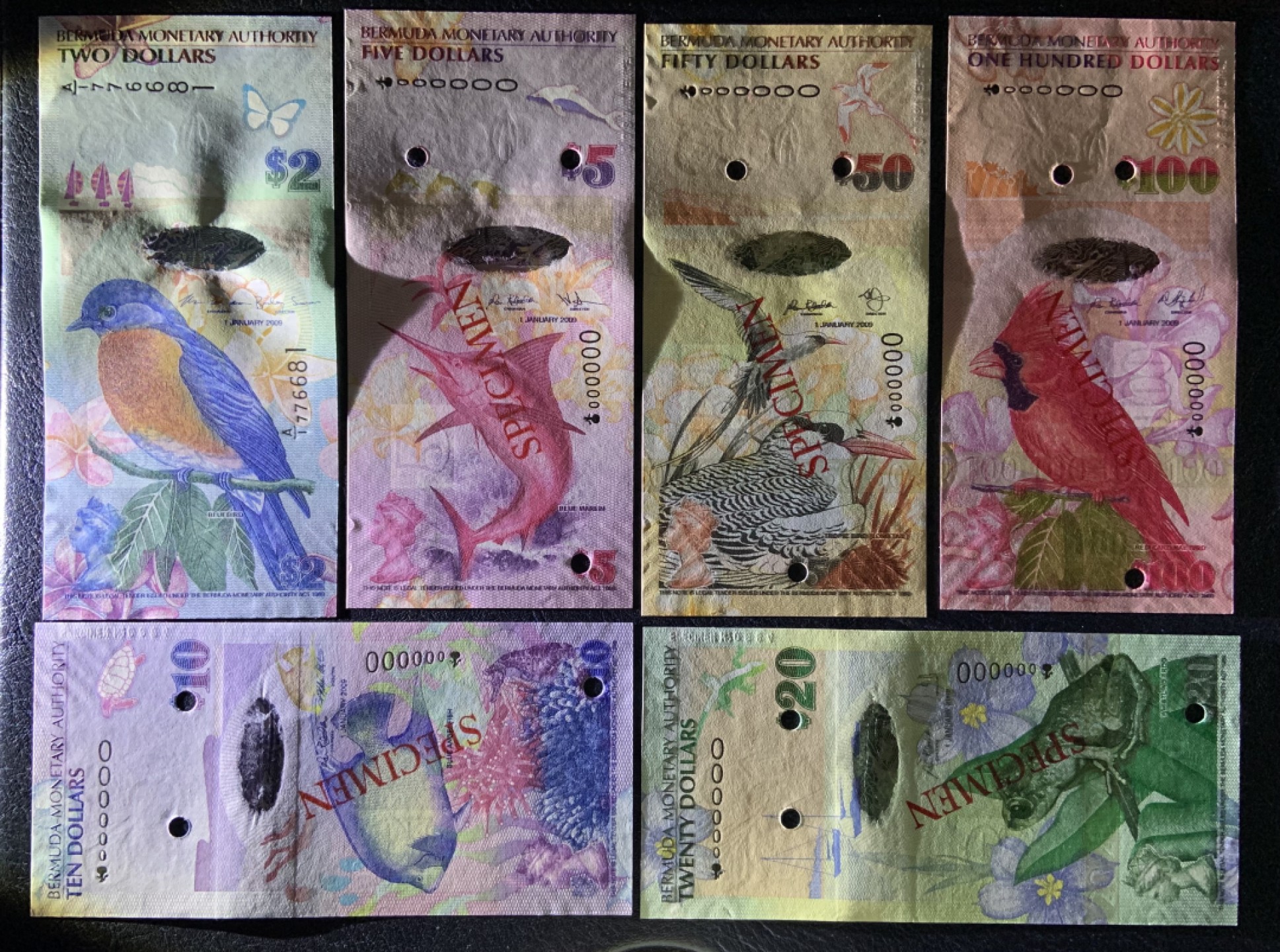 收藏联盟Quantum Auction 第212期拍卖  百慕大群岛2009年2-100元洋葱冠样票（2元为A/1冠实票配套用）品相全新UNC