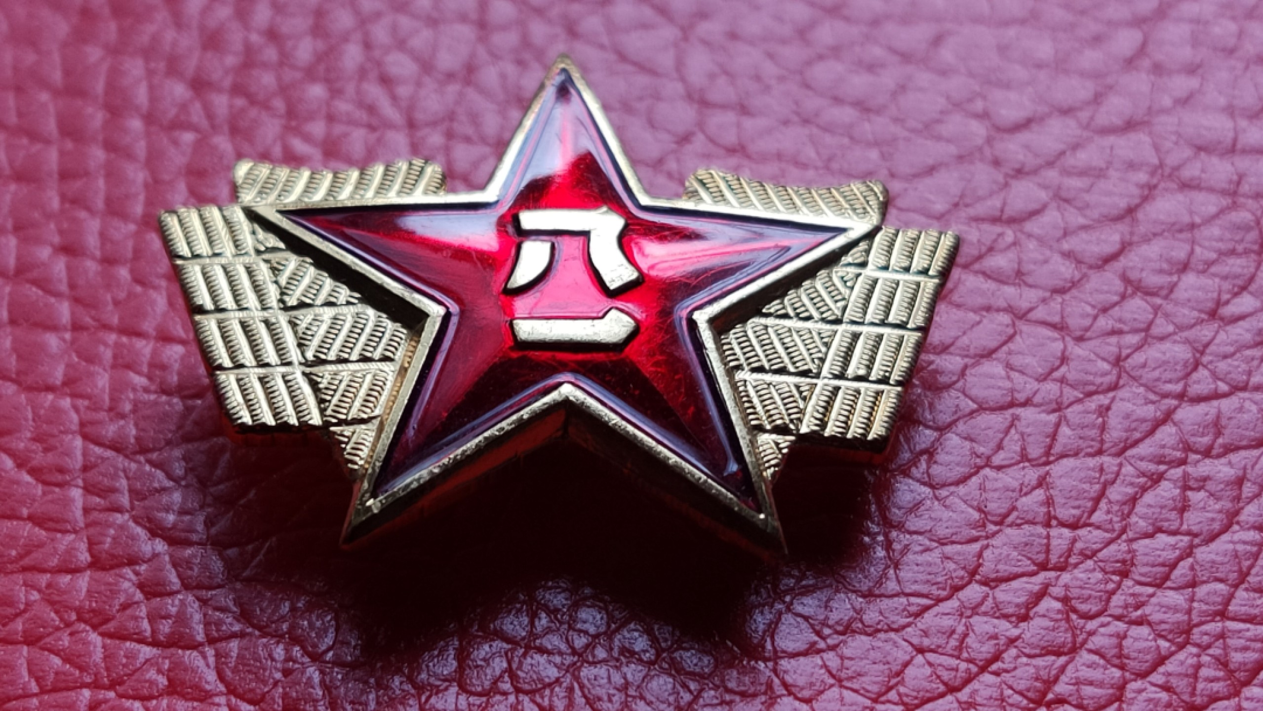 粮票 领章混拍 领章一对（2个装）