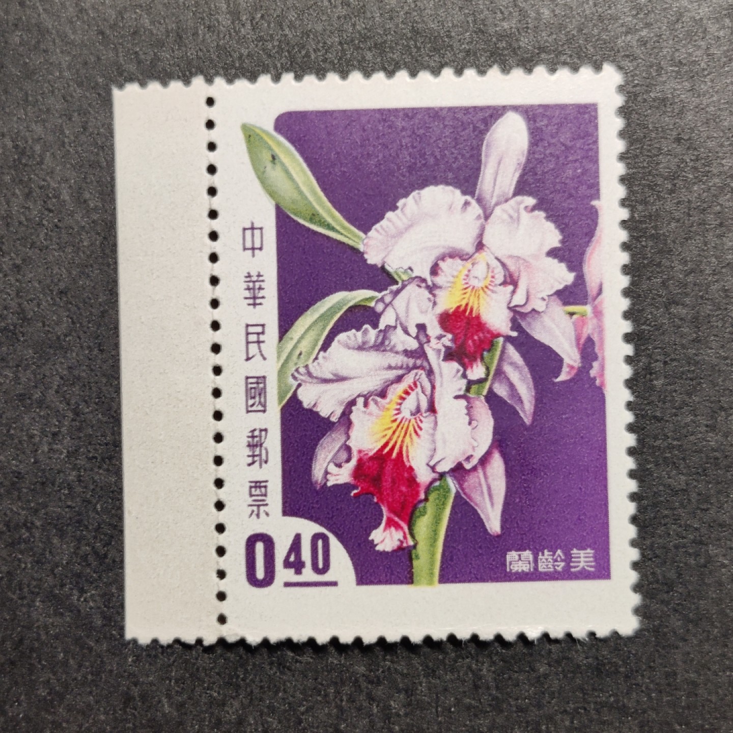 洪涛臻品批发群  精选邮票限时拍卖第九十六期 1958年 兰花—美玲兰，新票原胶无贴润亮 极微黄