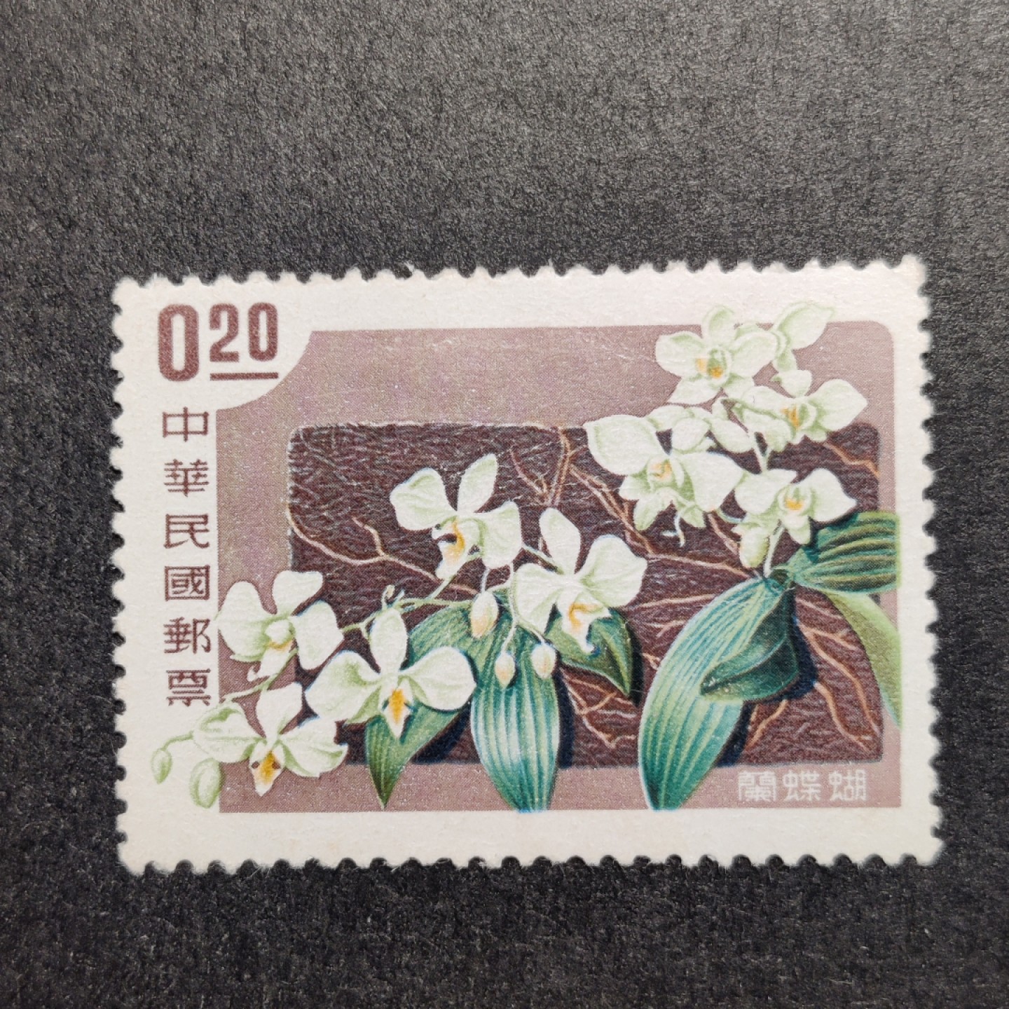 洪涛臻品批发群  精选邮票限时拍卖第九十六期 1958年 兰花—蝴蝶兰 新票原胶有贴