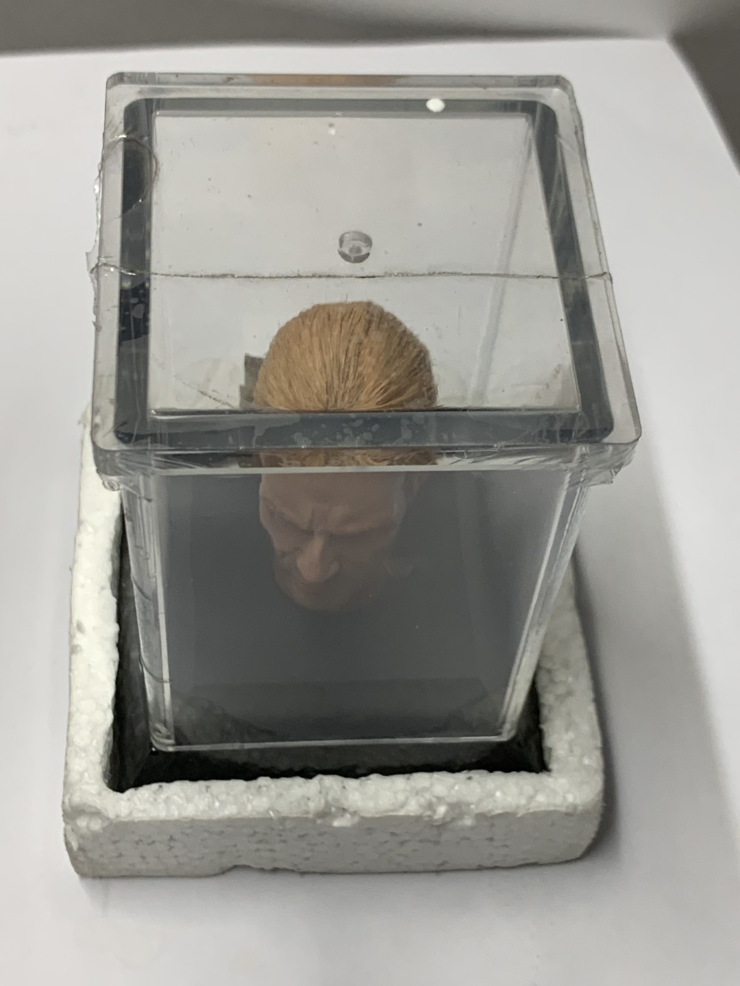 零元拍 ：DID 1/6 绝版植发头雕，全新未拆。