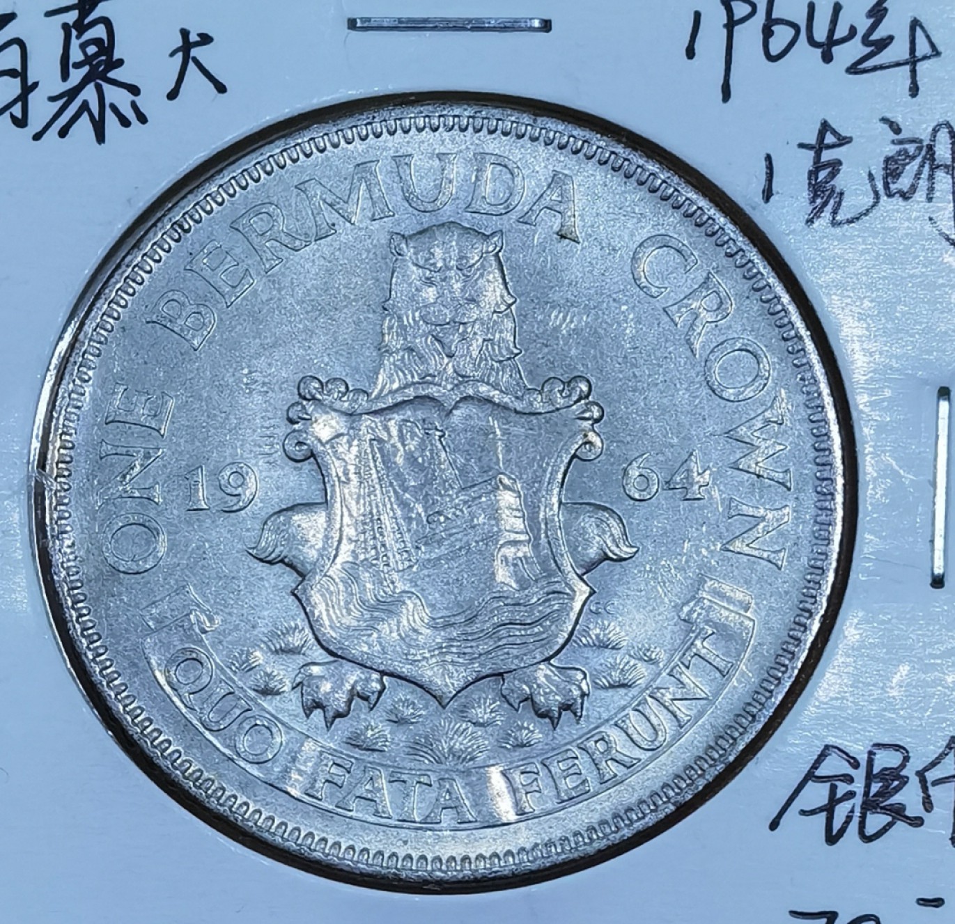 北京马甸外国币专卖微拍第九十期，外国金银币专场，陆续上新，欢迎关注 英属百慕大1964年1克朗银币  狮子  独立年份  22.6克36mm500银