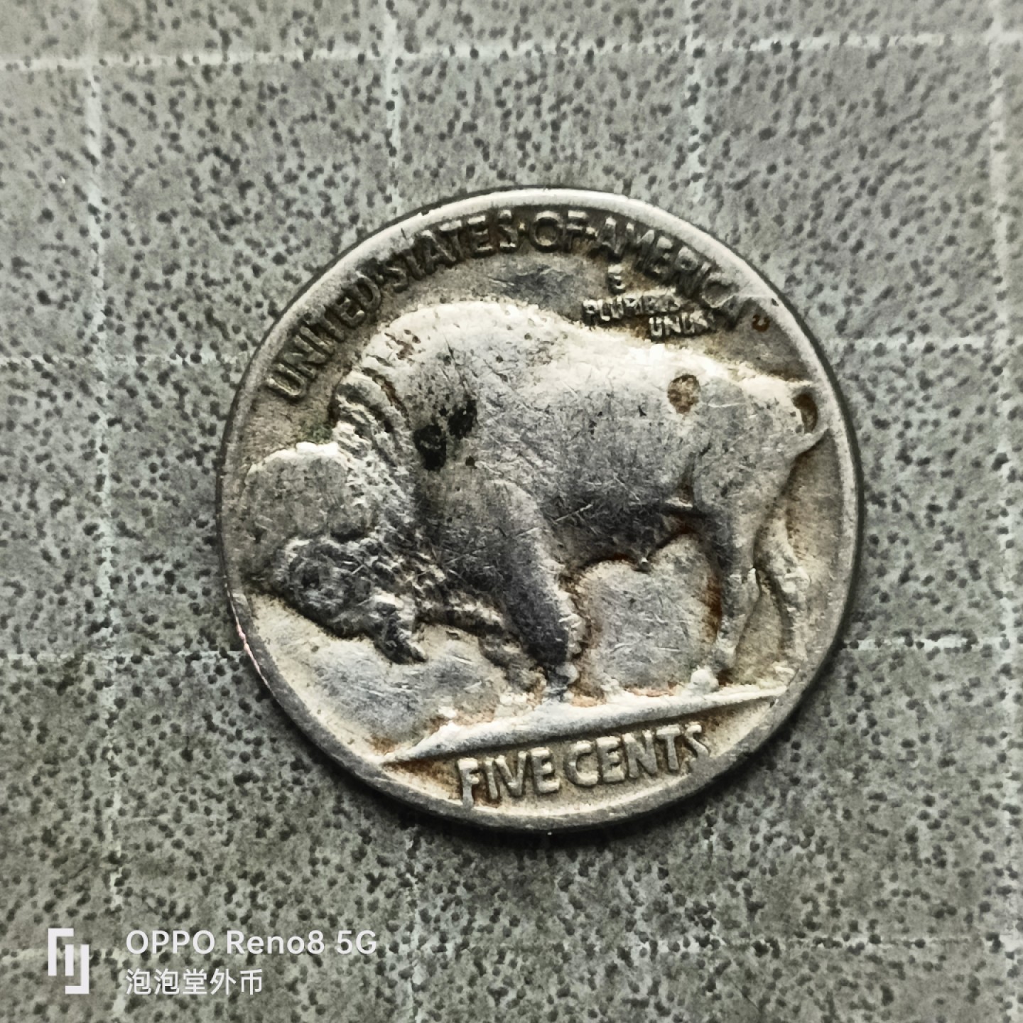 泡泡堂微拍第四十一幕硬币捡漏专场👿👿，零佣金，零押金，累计满二十元包邮 美国野牛