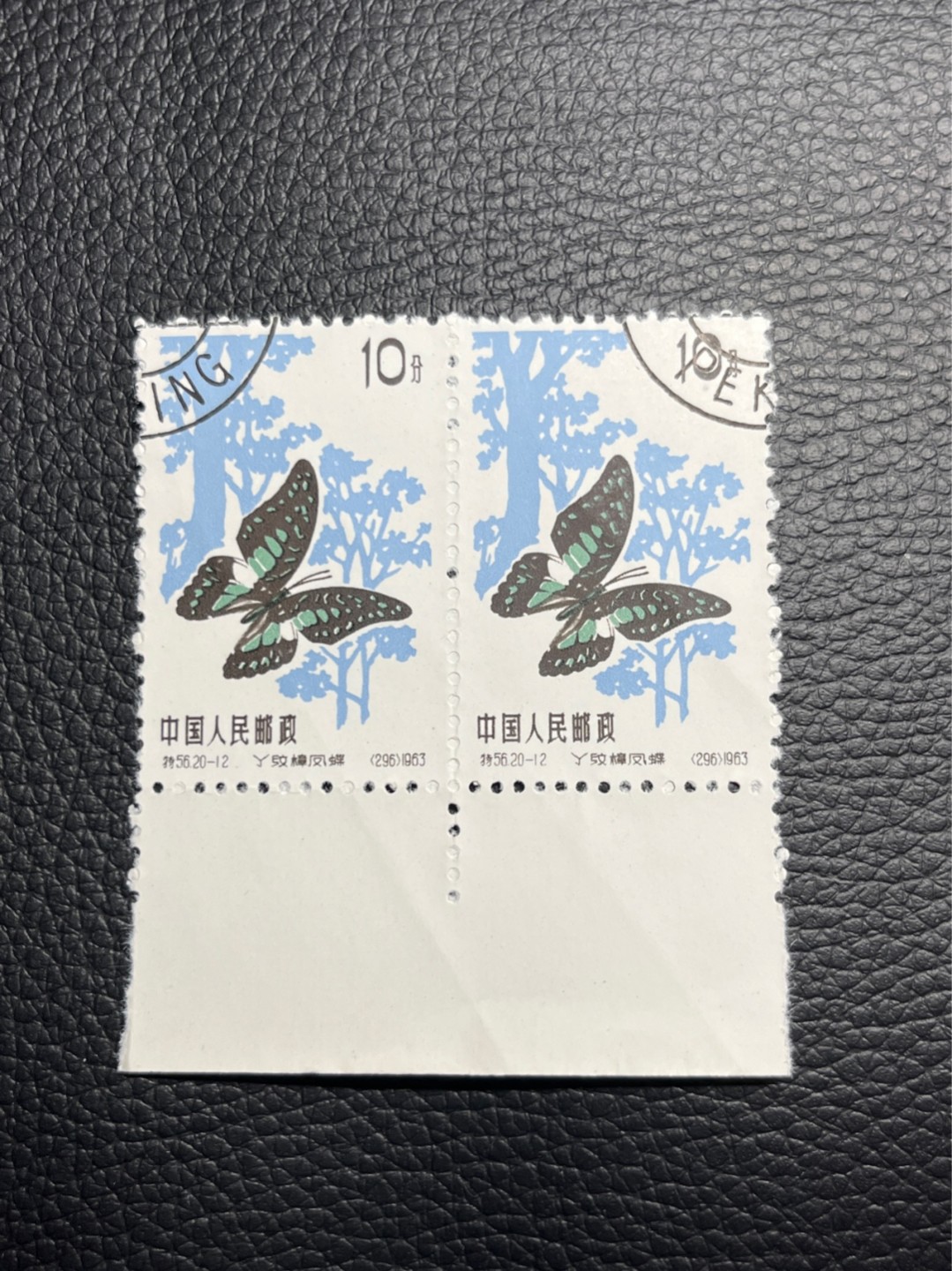洪涛臻品批发群  精选邮票限时拍卖第九十八期 特56蝴蝶盖销  20-12    2连一组，✦钢戳✦版撕票，版撕原始压痕如图。面艳胶白，三俗稀缺货，六珍之一，非常受欢迎的品种，新票价格高，盖销全品不要错过