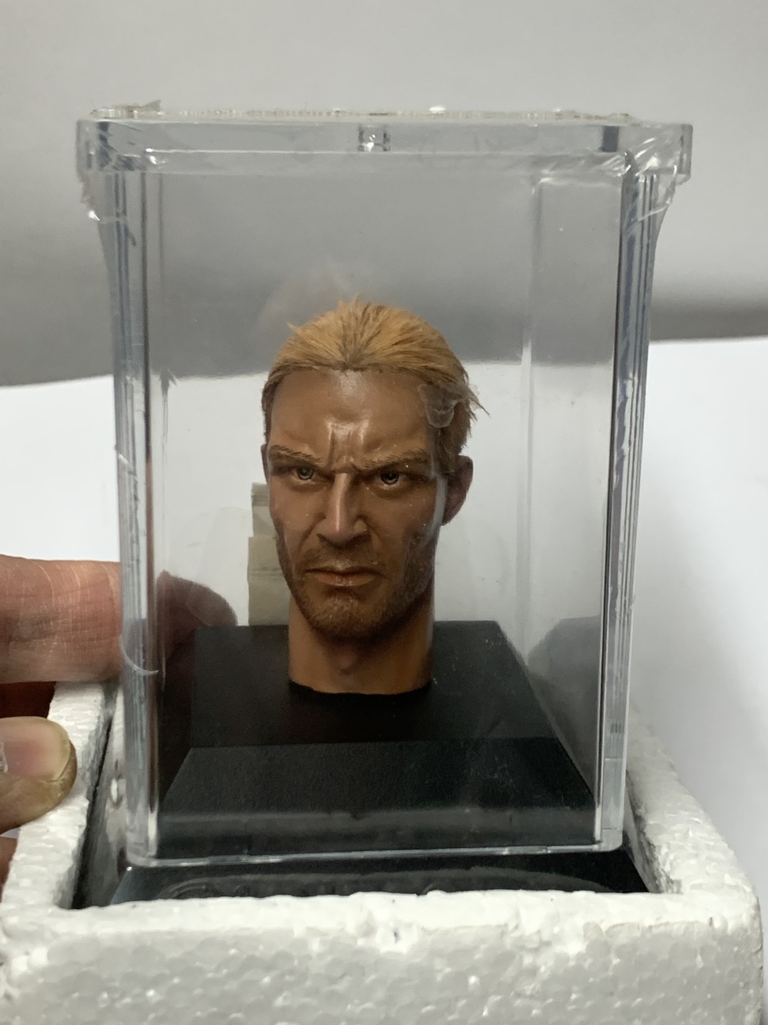 零元拍 ：DID 1/6 绝版植发头雕，全新未拆。
