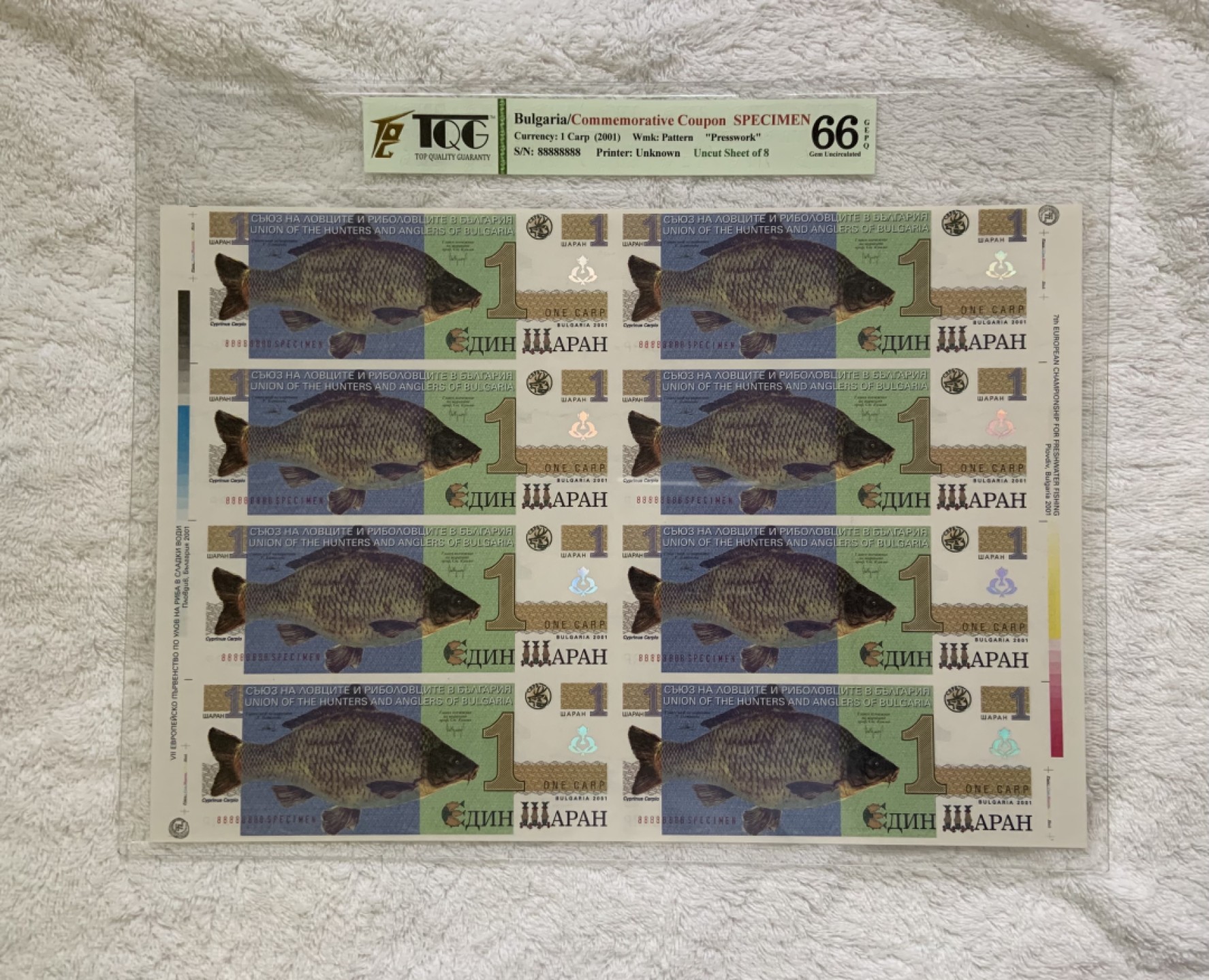 收藏联盟Quantum Auction 第212期拍卖  保加利亚2001年鲤鱼纪念钞样票8连体 TQG66 协会发行 非官方银行纸币