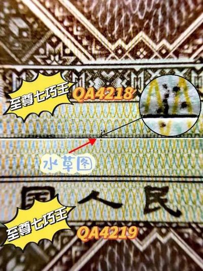 至尊特强七巧王QA4218尾88标十