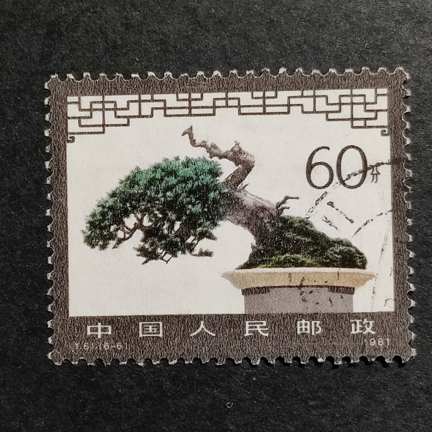 洪涛臻品批发群 精选邮票限时拍卖第九百八十期  T61盆景60分大筋票 面艳背白票挺无人为 信销全品【尾图他人在售70元】