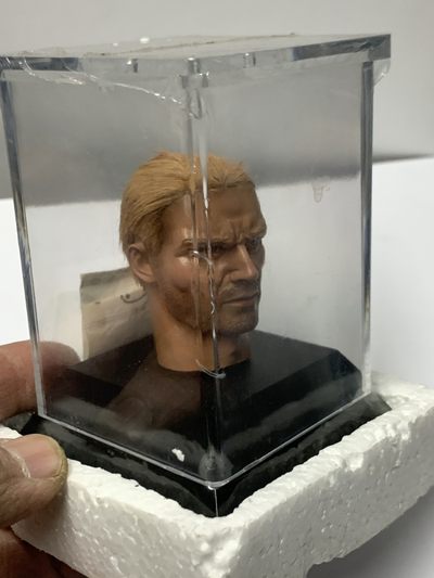 零元拍 ：DID 1/6 绝版植发头雕，全新未拆。 - 零元拍 ：DID 1/6 绝版植发头雕，全新未拆。