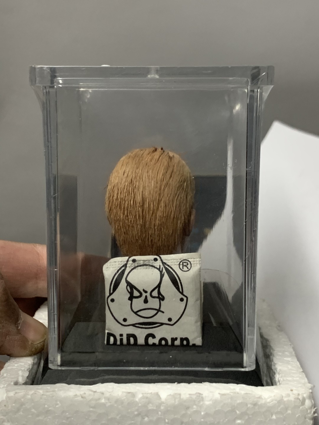 零元拍 ：DID 1/6 绝版植发头雕，全新未拆。