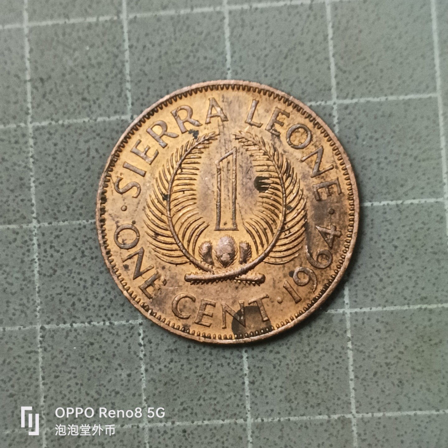 泡泡堂微拍第四十二幕硬币捡漏专场👿👿，零佣金，零押金，累计满二十元包邮 塞拉利昂64年一分