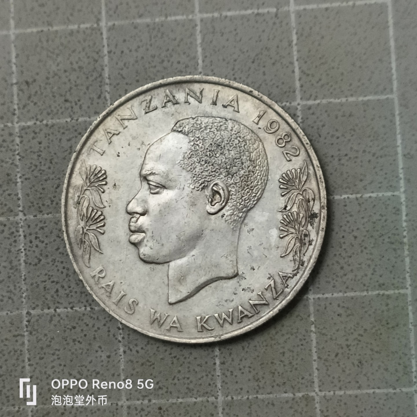 泡泡堂微拍第四十二幕硬币捡漏专场👿👿，零佣金，零押金，累计满二十元包邮 坦桑尼亚火炬一先令