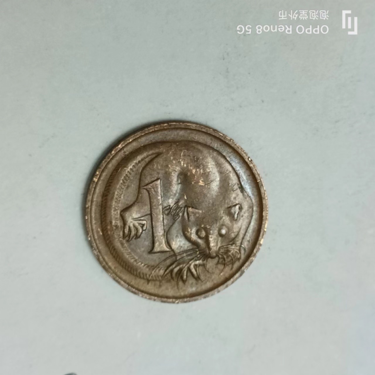 泡泡堂第163期  世界硬币专场（无押金，无佣金，捡漏，全场20包邮，偏远地区除外） 澳洲一分