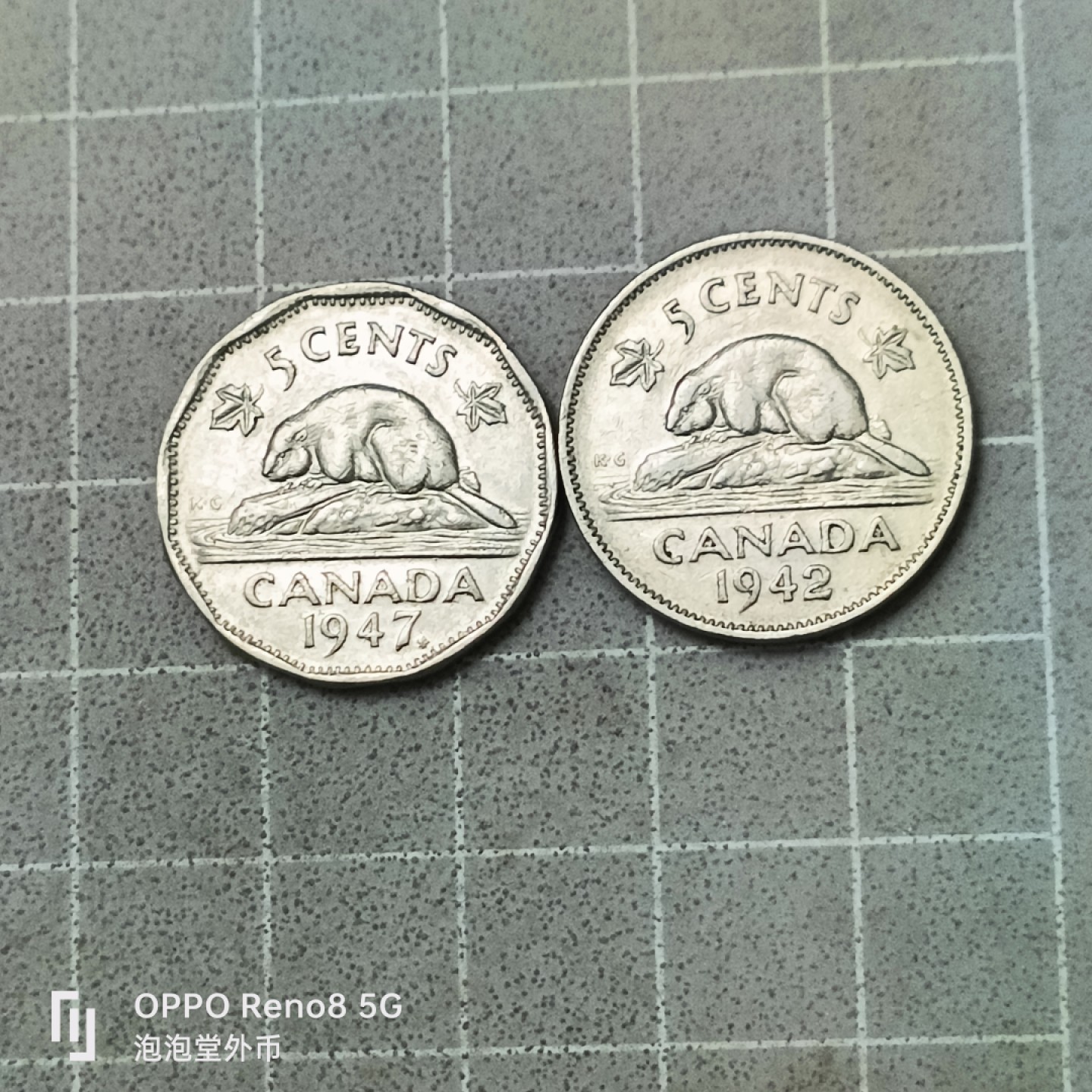 泡泡堂微拍第四十二幕硬币捡漏专场👿👿，零佣金，零押金，累计满二十元包邮 加拿大男头5分两种