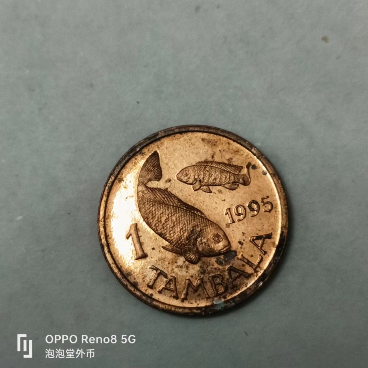 泡泡堂第163期  世界硬币专场（无押金，无佣金，捡漏，全场20包邮，偏远地区除外） 马拉圭一坦