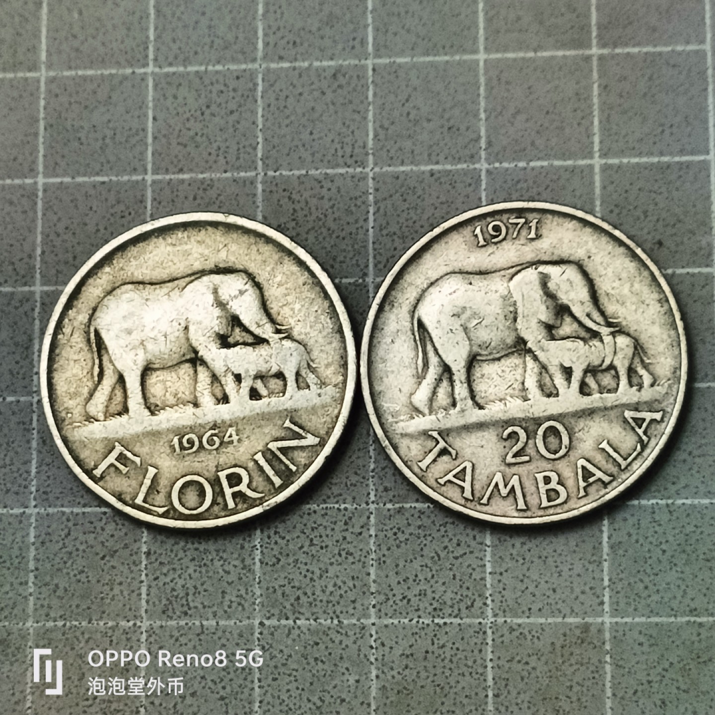 泡泡堂微拍第四十二幕硬币捡漏专场👿👿，零佣金，零押金，累计满二十元包邮 马拉维大币两种