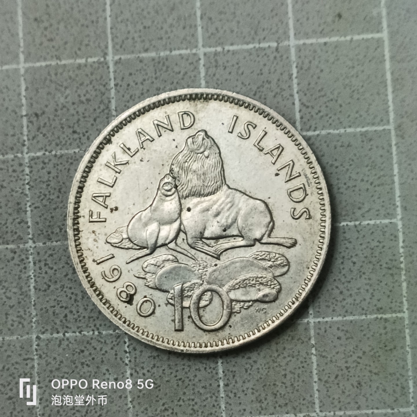 泡泡堂微拍第四十二幕硬币捡漏专场👿👿，零佣金，零押金，累计满二十元包邮 福克兰大十便士