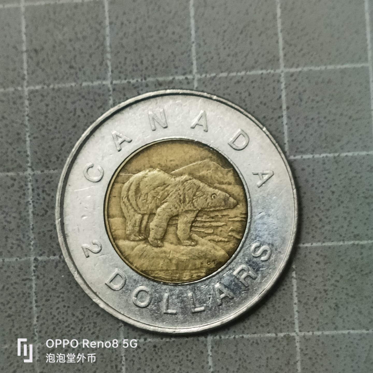 泡泡堂微拍第四十二幕硬币捡漏专场👿👿，零佣金，零押金，累计满二十元包邮 加拿大2刀