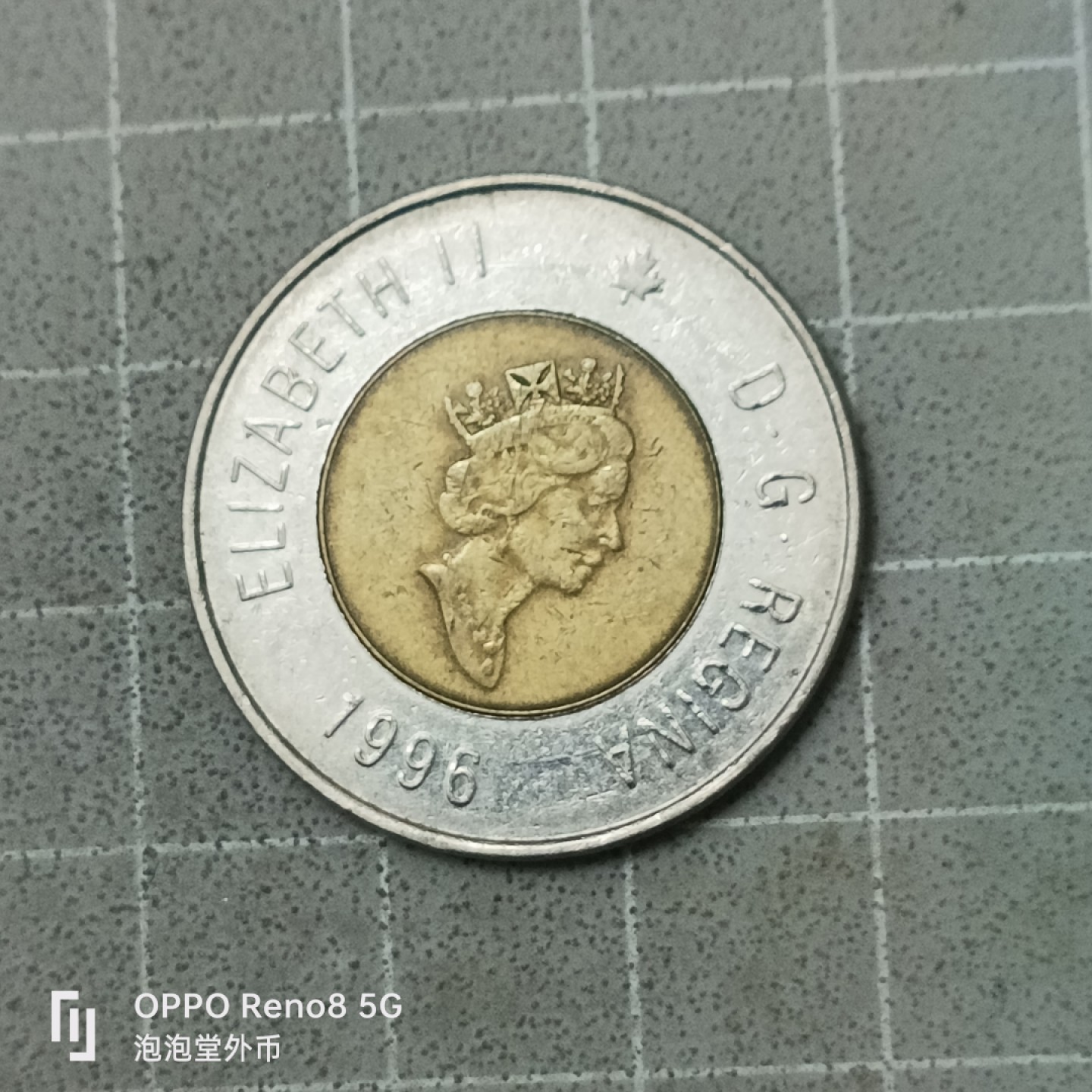 泡泡堂微拍第四十二幕硬币捡漏专场👿👿，零佣金，零押金，累计满二十元包邮 加拿大2刀